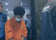 Pemerhati Digital Nilai Tepat Polisi Tangkap Hacker @bjorkanesiaaa, Ini Penjelasannya