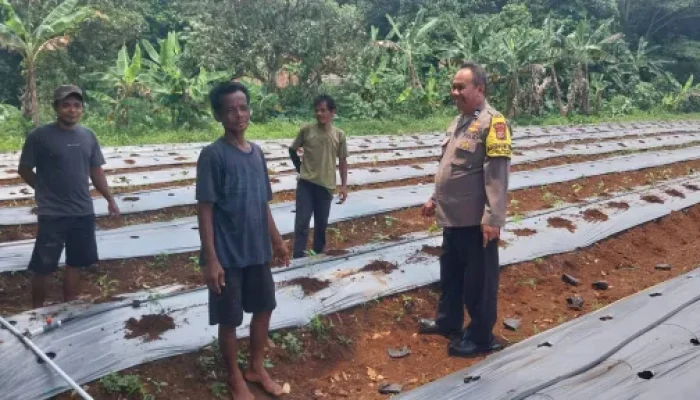 Bhabinkamtibmas Polsek Rumpin Polres Bogor Sambang Warga, Sampaikan Himbauan Kamtibmas Saat Monitoring Kelompok Tani