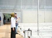 Smart Greenhouse Jadi Model Baru Inovasi Pangan Berkelanjutan