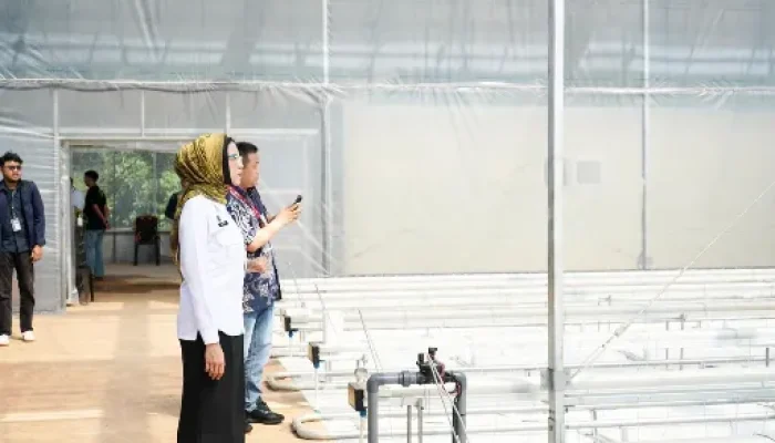Smart Greenhouse Jadi Model Baru Inovasi Pangan Berkelanjutan
