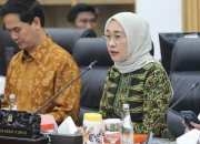 Ketua Komisi VI DPR Dorong Pemerintah Regulasi OTT: Ini Masalah Merah Putih!