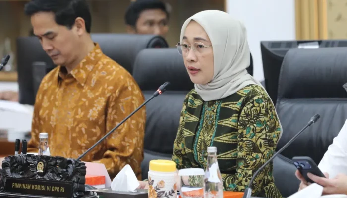 Ketua Komisi VI DPR Dorong Pemerintah Regulasi OTT: Ini Masalah Merah Putih!